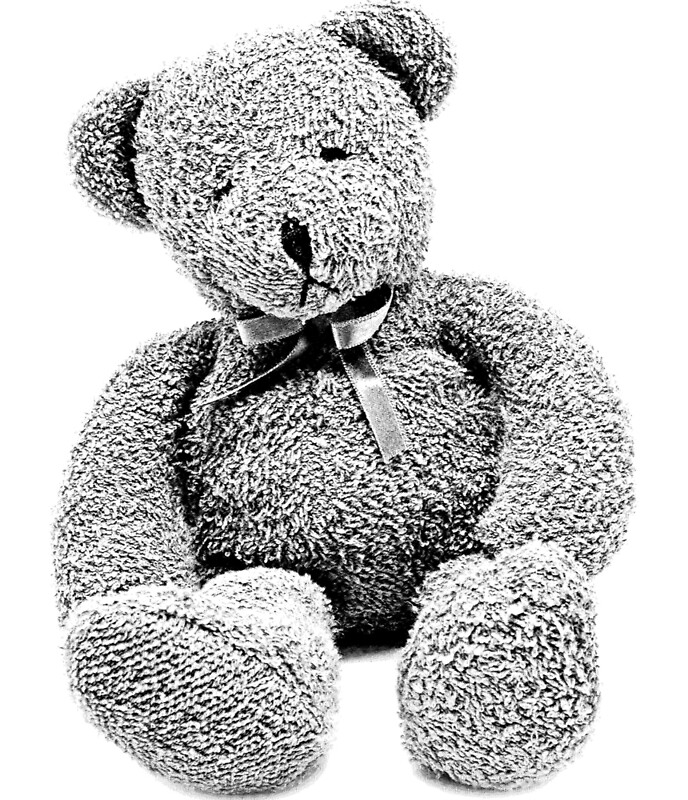 engraved teddy