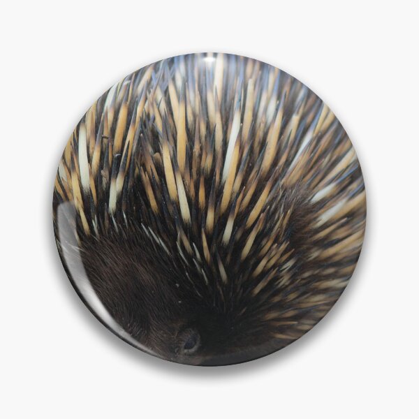 Item preview, Enchidna Taronga Zoo designed and sold by RREID84.