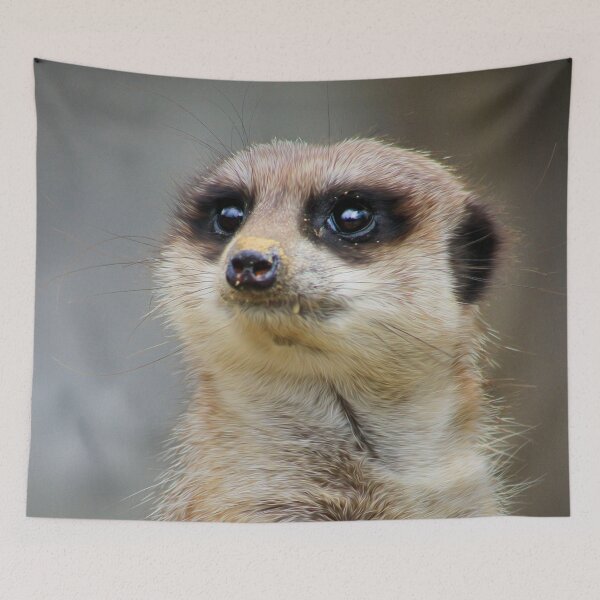 Item preview, The look of innocence designed and sold by missmoneypenny.