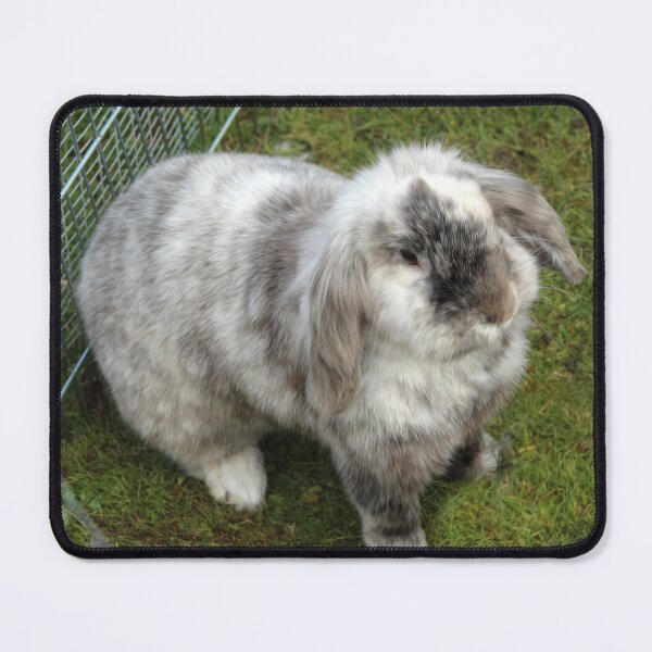 Item preview, Such a fluffy bunny designed and sold by missmoneypenny.