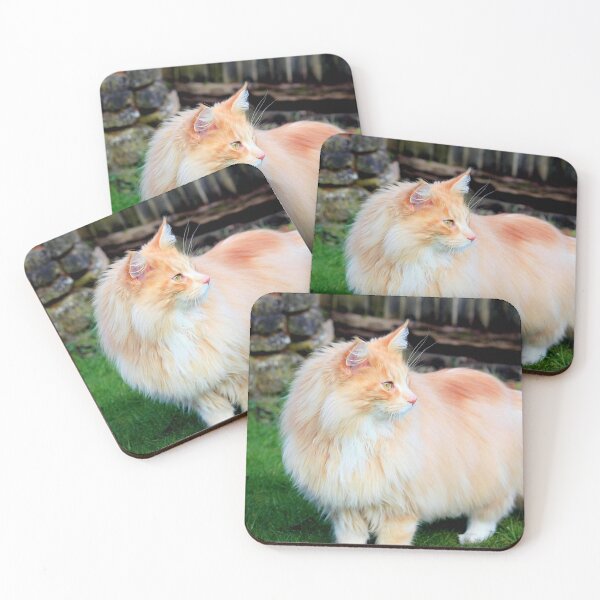 Item preview, Majestic Maine coon designed and sold by missmoneypenny.