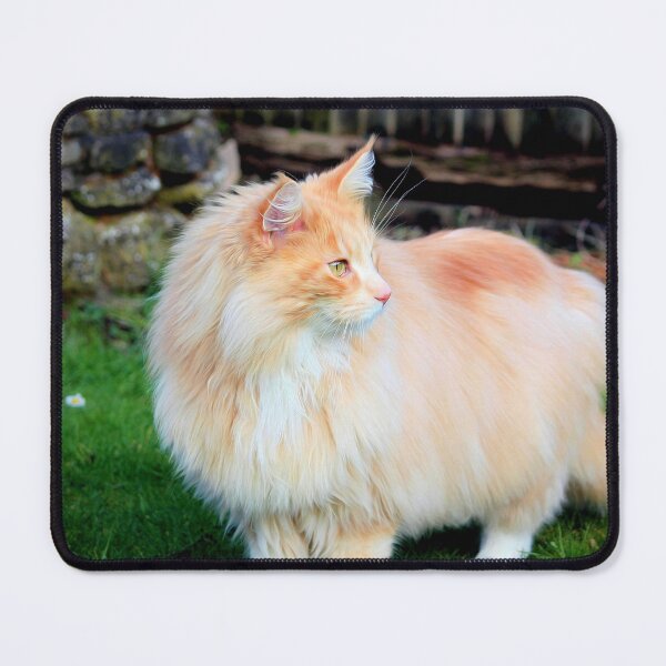 Item preview, Majestic Maine coon designed and sold by missmoneypenny.