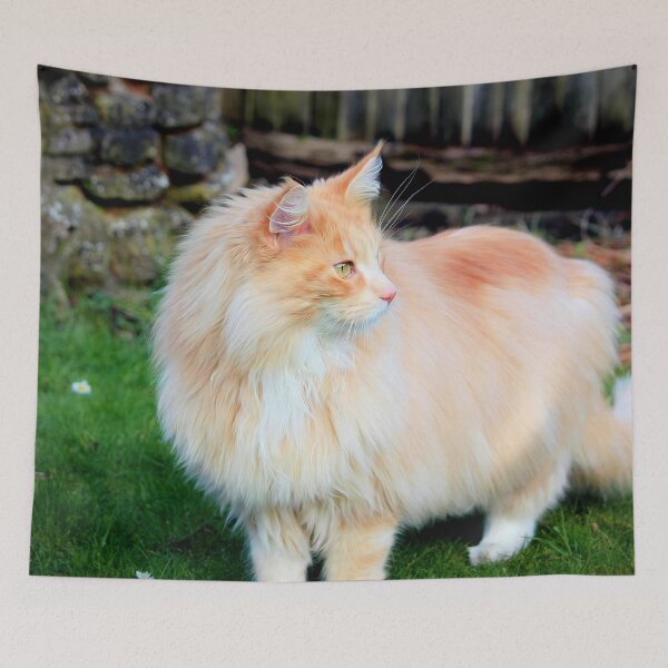 Item preview, Majestic Maine coon designed and sold by missmoneypenny.