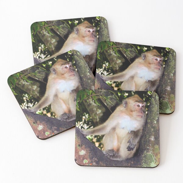 Item preview, Creature comfort designed and sold by missmoneypenny.