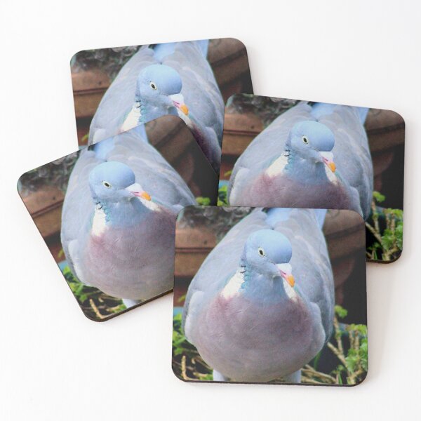 Item preview, Potted pigeon designed and sold by missmoneypenny.