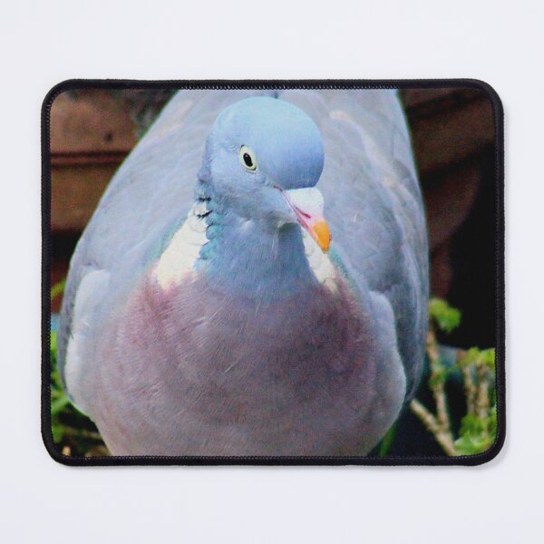 Item preview, Potted pigeon designed and sold by missmoneypenny.