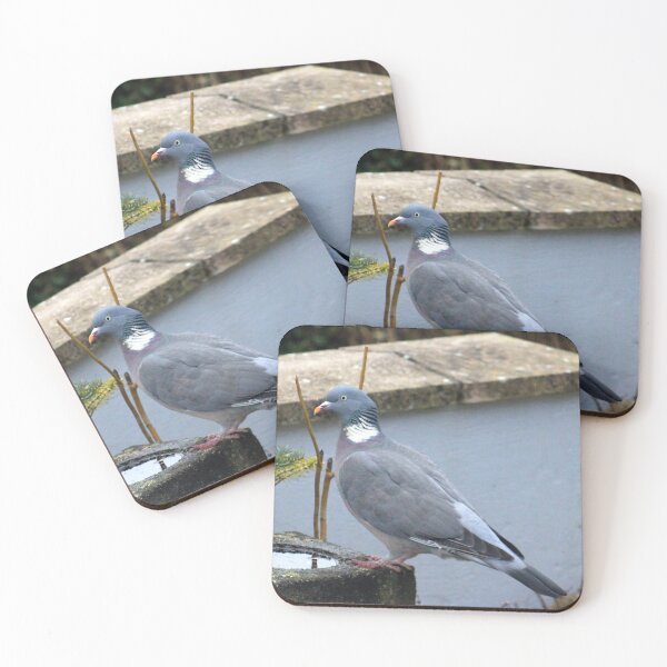Item preview, Posing pigeon designed and sold by missmoneypenny.