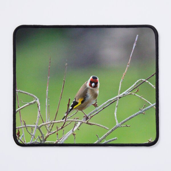 Item preview, Are you looking at me? designed and sold by missmoneypenny.