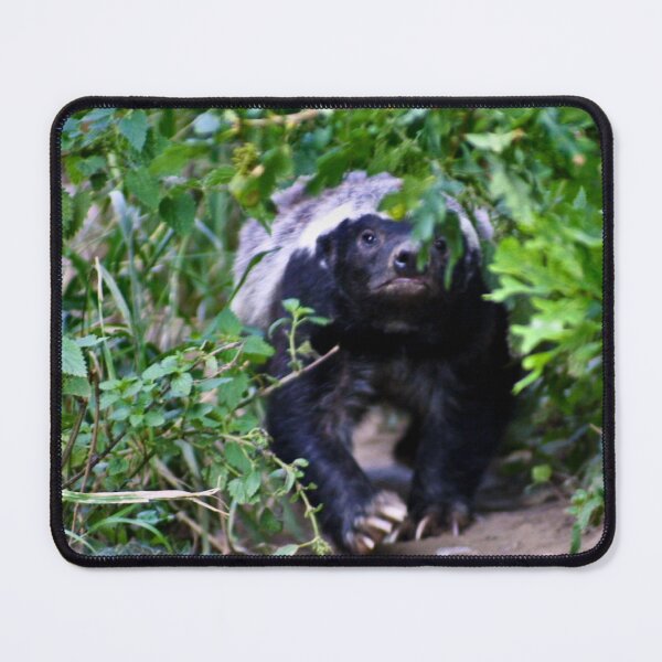 Item preview, Coming through the undergrowth designed and sold by missmoneypenny.