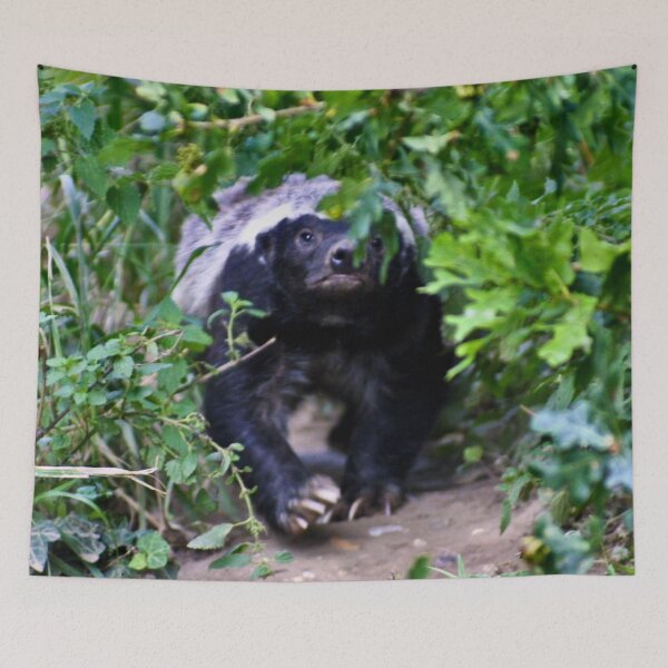 Item preview, Coming through the undergrowth designed and sold by missmoneypenny.
