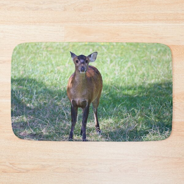 Item preview, Sweet little muntjac designed and sold by missmoneypenny.