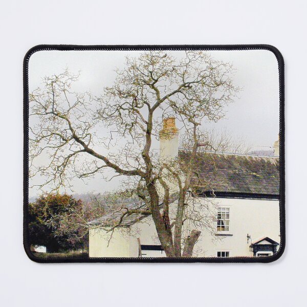 Item preview, Leafless designed and sold by missmoneypenny.