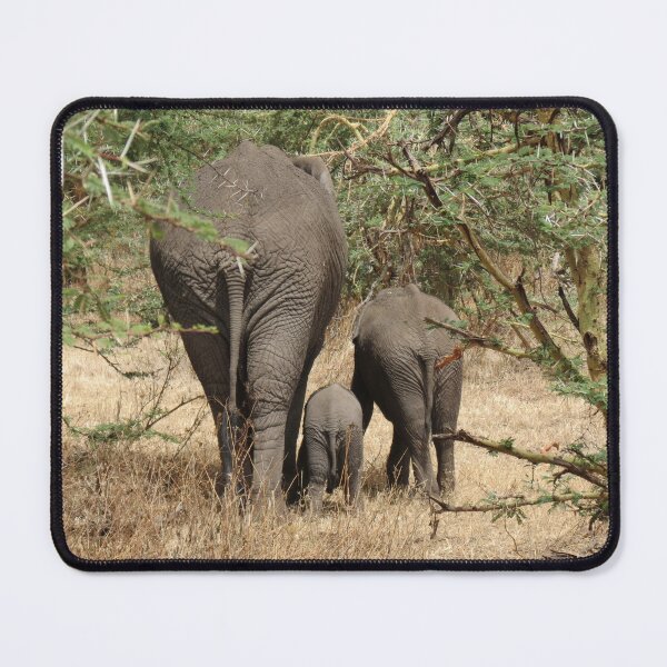 Item preview, Elephant family designed and sold by ClareKirwan.