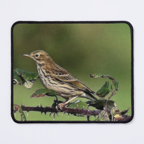 Item preview, Meadow pipit designed and sold by missmoneypenny.