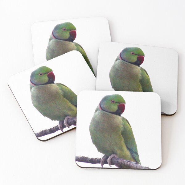 Item preview, Indian ring necked parrot designed and sold by missmoneypenny.