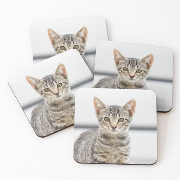 Item preview, Kitty and the rose designed and sold by missmoneypenny.