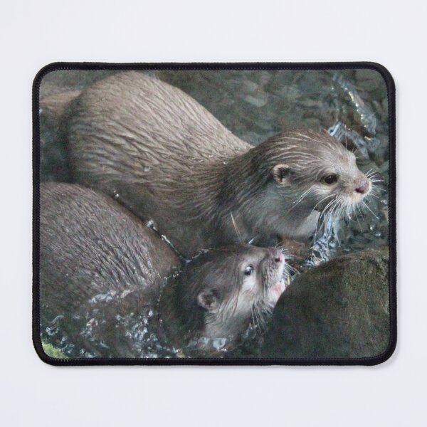 Item preview, Otters - image 9 designed and sold by missmoneypenny.