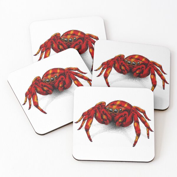 Item preview, The jumping Spider designed and sold by krabbaraban.