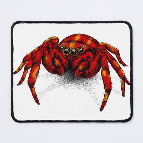 Item preview, The jumping Spider designed and sold by krabbaraban.