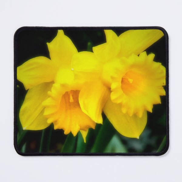 Item preview, Twin daffodils designed and sold by missmoneypenny.
