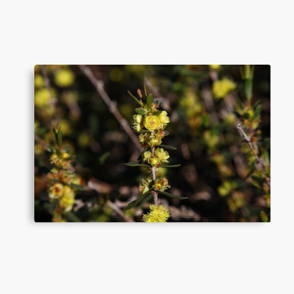 Item preview, The Not So Faraway Garden 17 designed and sold by beeden.