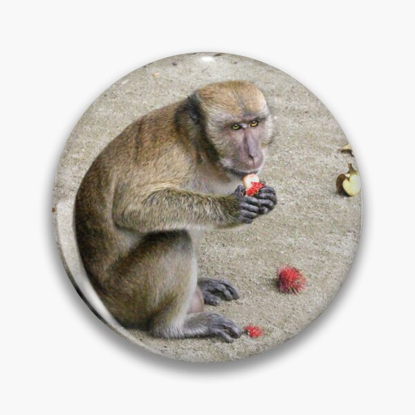 Item preview, Munching on rambutan designed and sold by missmoneypenny.