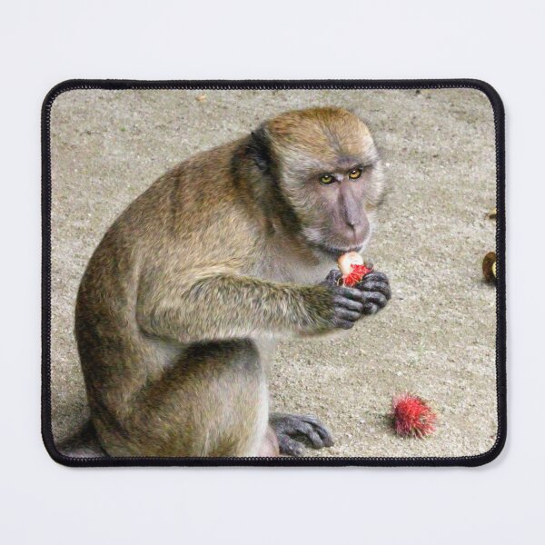 Item preview, Munching on rambutan designed and sold by missmoneypenny.