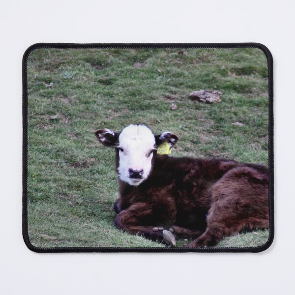 Item preview, Cute calf designed and sold by missmoneypenny.