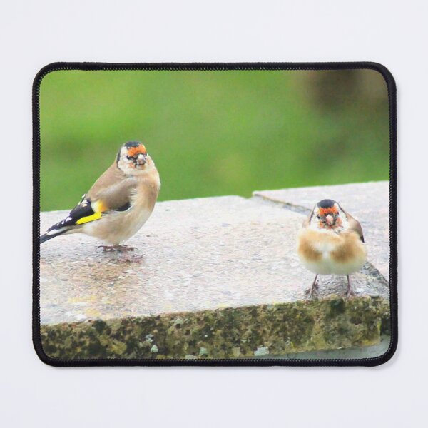 Item preview, Are you going to feed us? designed and sold by missmoneypenny.