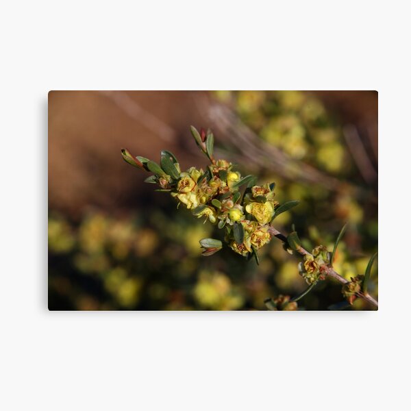 Item preview, The Not So Faraway Garden 18 designed and sold by beeden.
