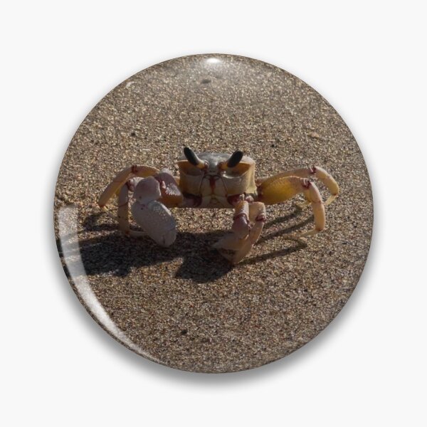 Item preview, Mr Crab designed and sold by RPMouton.