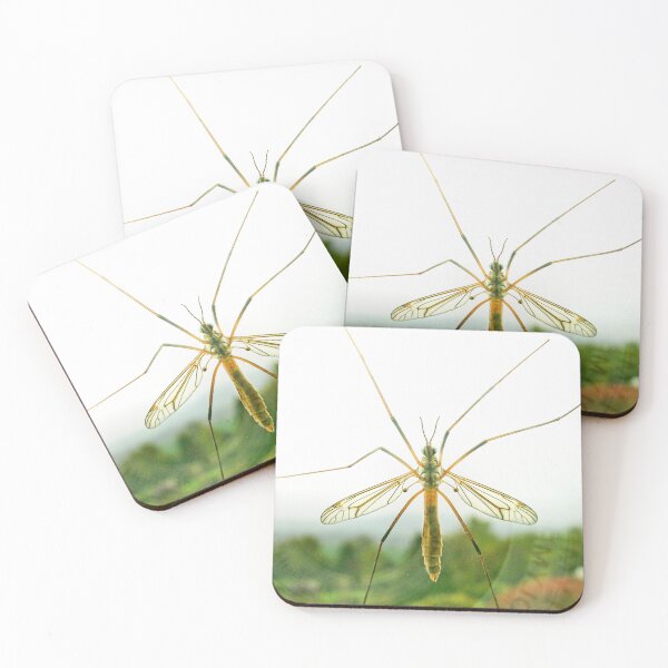 Item preview, Let me in designed and sold by missmoneypenny.
