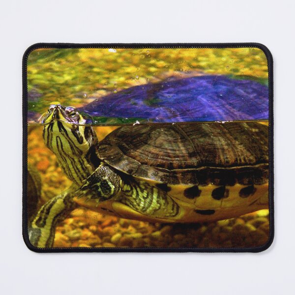 Item preview, Brackish turtle designed and sold by missmoneypenny.
