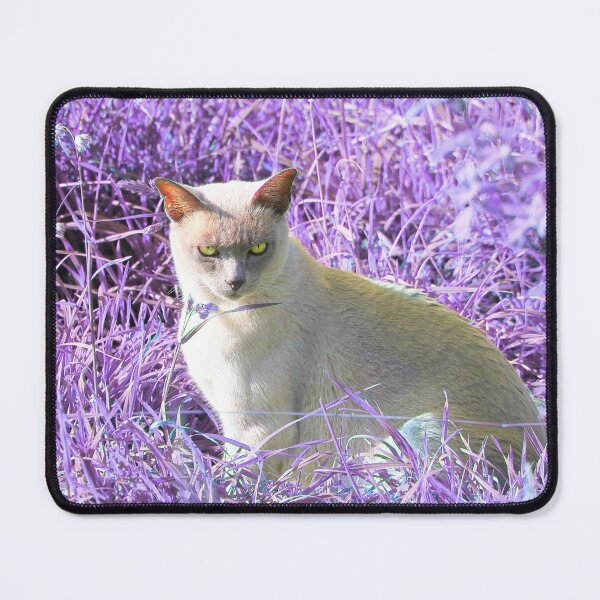 Item preview, Pussy Cat in Purple designed and sold by missmoneypenny.