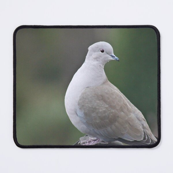 Item preview, Debonair dove designed and sold by missmoneypenny.