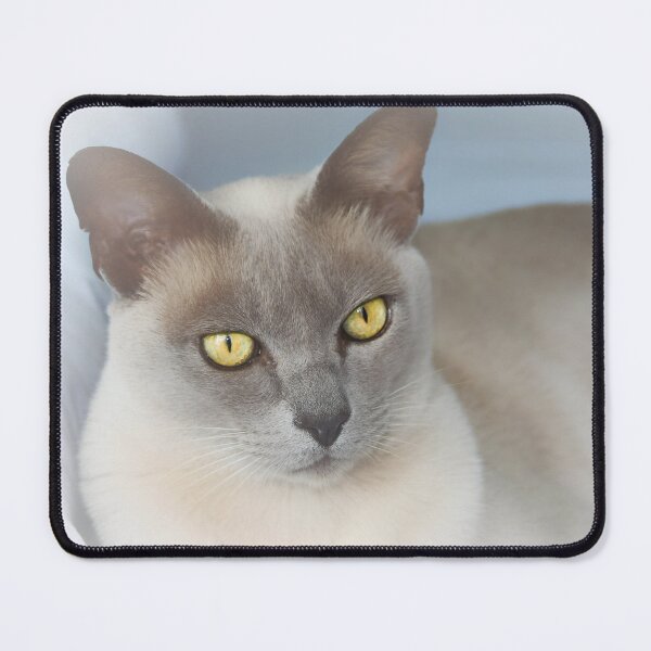 Item preview, Cat comfort designed and sold by missmoneypenny.