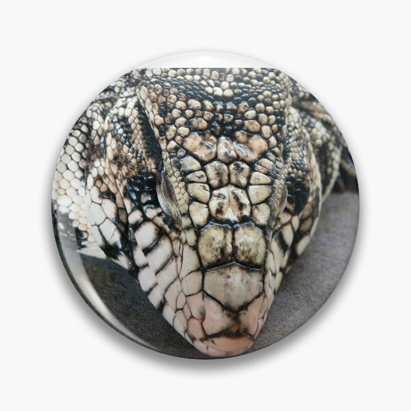 Item preview, Snoozing tegu lizard designed and sold by missmoneypenny.