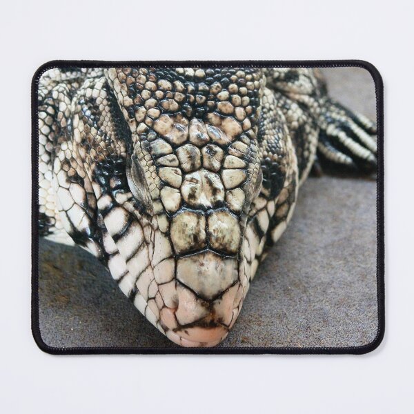 Item preview, Snoozing tegu lizard designed and sold by missmoneypenny.