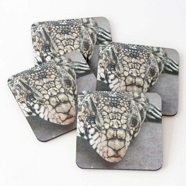 Item preview, Snoozing tegu lizard designed and sold by missmoneypenny.