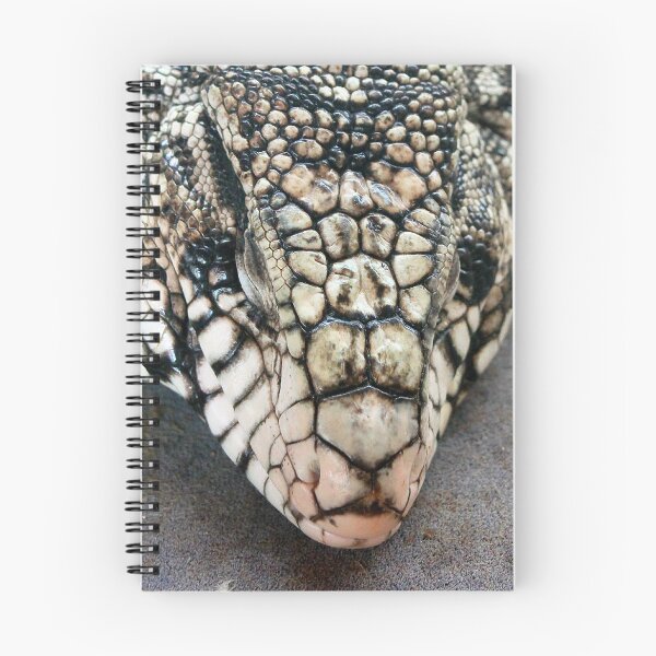 Item preview, Snoozing tegu lizard designed and sold by missmoneypenny.