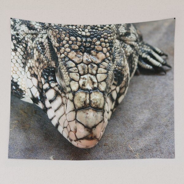 Item preview, Snoozing tegu lizard designed and sold by missmoneypenny.