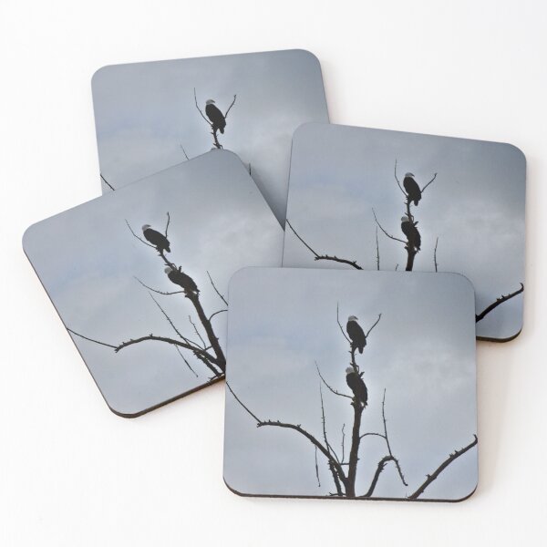 Item preview, Two Bald Eagles on Bare Tree designed and sold by MercerImages.