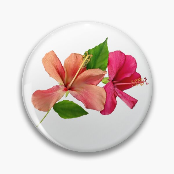 Item preview, Hibiscus in bloom designed and sold by missmoneypenny.