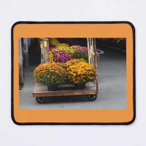 Item preview, Fall mums designed and sold by Nicholes  Dream Visions.