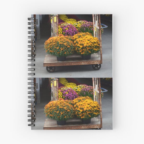 Item preview, Fall mums designed and sold by Nicholes  Dream Visions.