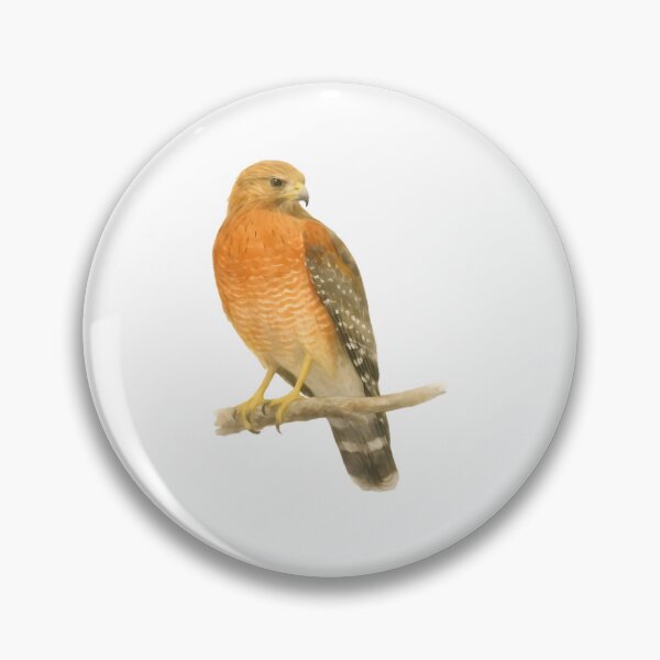 Item preview, Red-shouldered Hawk (Buteo lineatus) designed and sold by HOMETOWN86.