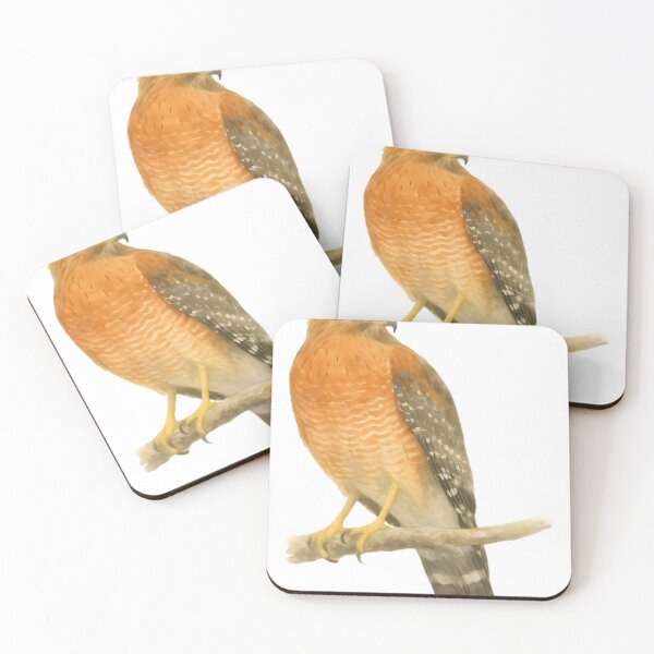 Item preview, Red-shouldered Hawk (Buteo lineatus) designed and sold by HOMETOWN86.