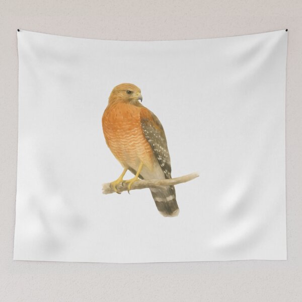 Item preview, Red-shouldered Hawk (Buteo lineatus) designed and sold by HOMETOWN86.