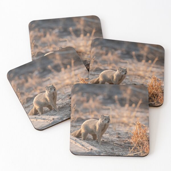 Item preview, Soft Light Scout — Mongoose at the Edge of the Track designed and sold by DavideAntoniani.