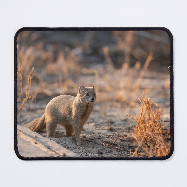 Item preview, Soft Light Scout — Mongoose at the Edge of the Track designed and sold by DavideAntoniani.